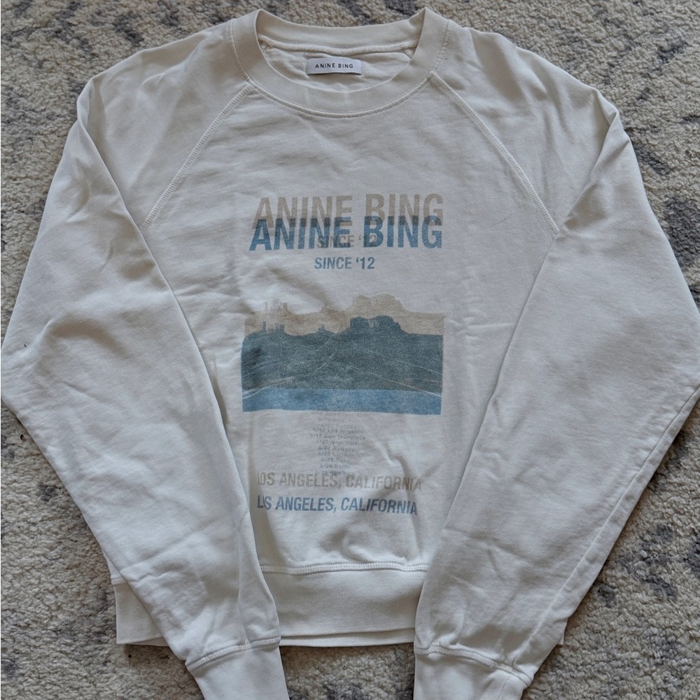 Anine Bing Arlo Desert Road Sweatshirt - Picture 4 of 8
